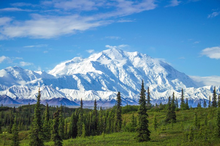 Denali park national alaska preserve usa